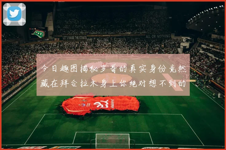 今日趣图揭秘罗哥的真实身份竟然藏在拜合拉木身上你绝对想不到的真相