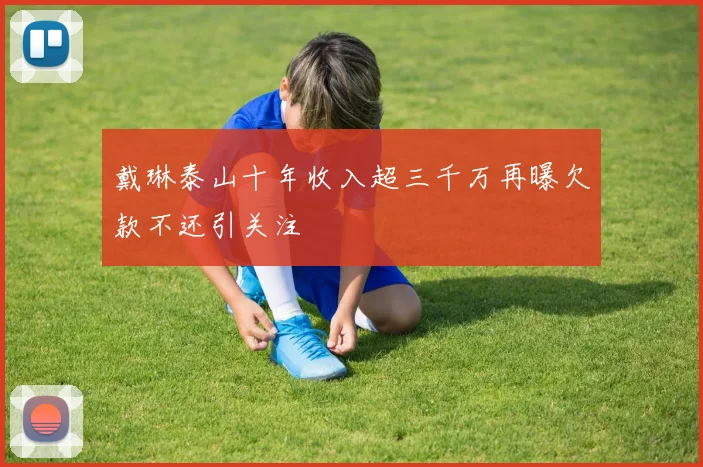 戴琳泰山十年收入超三千万再曝欠款不还引关注